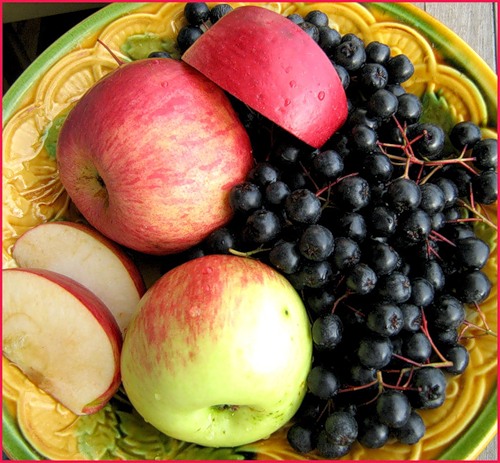 Варенье из черноплодки и яблок